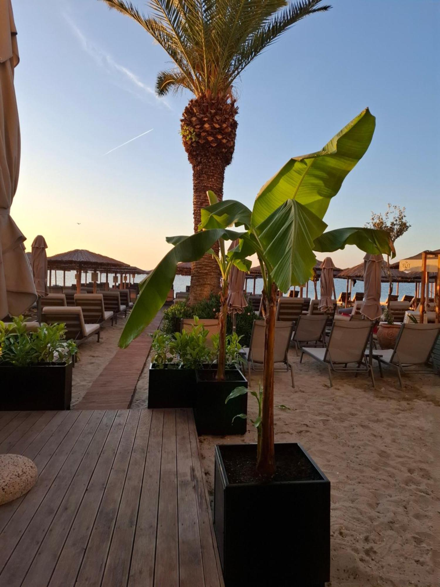 Hotel Avra Paralía Zewnętrze zdjęcie
